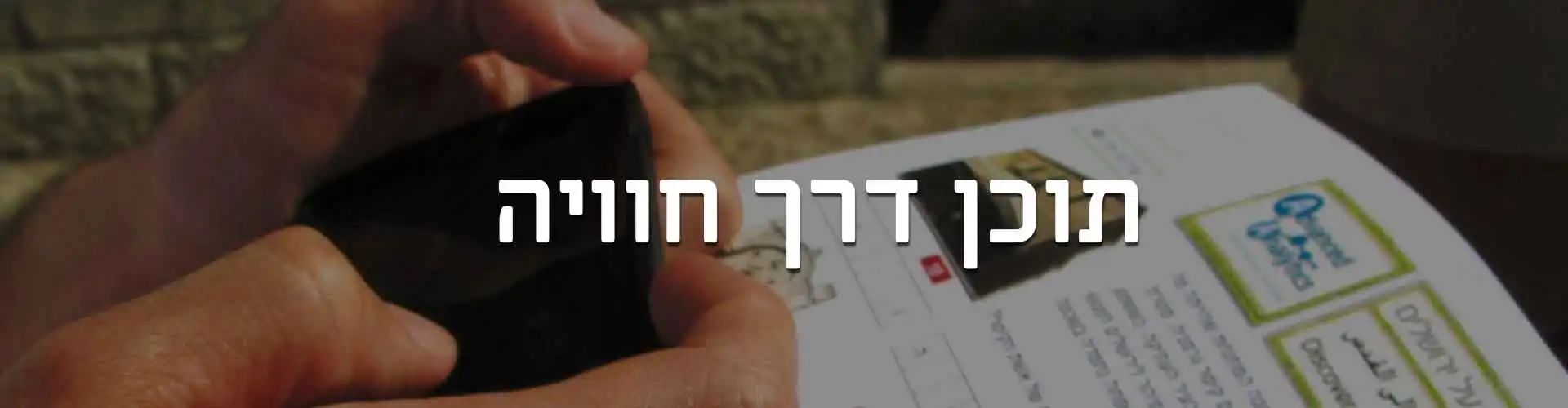 BeeTravel | Sea curioso, sea creativo